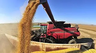 Conab indica produção de 322,47 milhões de toneladas