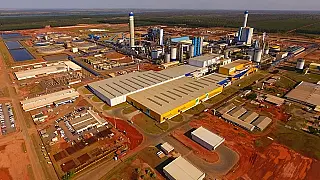 Companhia criada com a fusão entre Suzano e Fibria será líder mundial em celulose