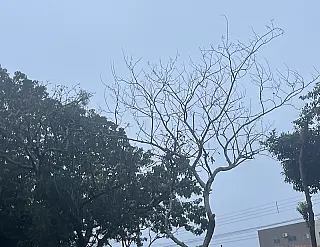 Calor intenso e ar seco para fim de semana