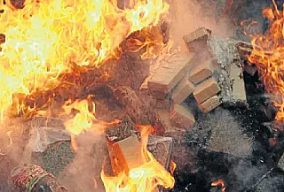 Polícia Nacional do Paraguai dá prejuízo de US$ 10 milhões a traficantes de drogas