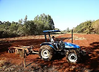 Assistência indígena já atende 27 produtores da aldeia Jaguapiru