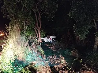 Idosos morrem após carro capotar e bater em árvore, em rodovia de MS