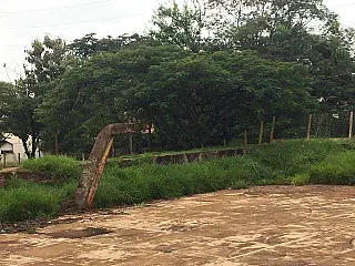 Centro esportivo do BNH 2 pede socorro