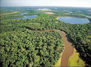 MS vive momento especial ao discutir Pantanal