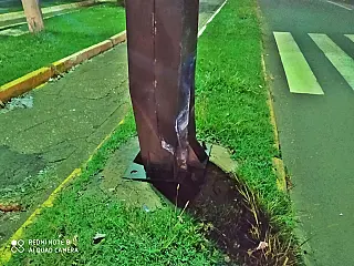 Homem é preso após bater em semáforo