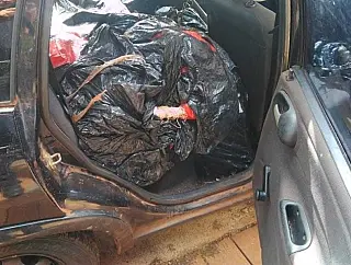 DOF prende cinco que tentou resistir com carro lotado de maconha