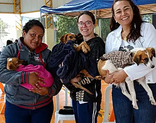 Associação de proteção animal recebe reconhecimento