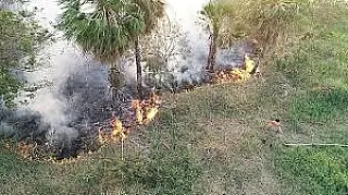 Ministros se reúnem em Campo Grande para discutir mudanças climáticas