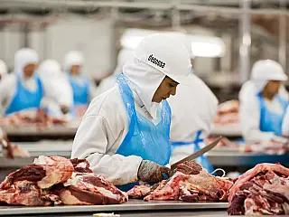 Exportações de carne bovina têm crescimento de 47% no 1º semestre deste ano em MS