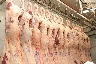 Singapura anuncia compra de carne bovina e suína com osso do Brasil