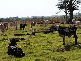 Ex-primeira dama herda R$ 4 milhões do espólio de Artuzi