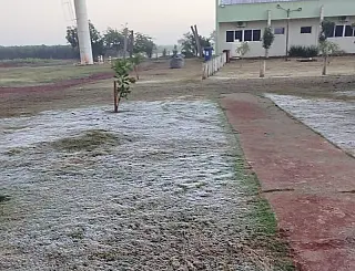 Guia Clima registra fatores diferenciados no clima