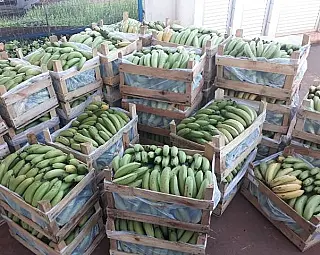 Agricultura familiar ajuda a fortalecer Banco de Alimentos em Dourados
