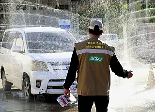 MS se previne contra a entrada da gripe aviária