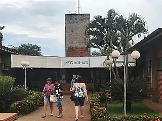 Condutor de veículo já pode requerer Carteira de Habilitação digital