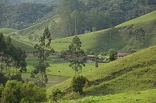 IBGE visitará mais de 5 milhões de estabelecimentos agropecuários no país