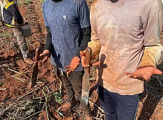 Paraguaios são resgatados em situação de escravidão em MS