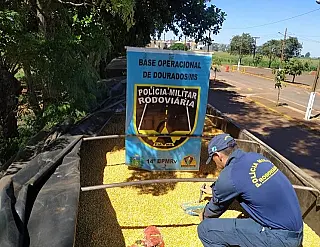 Polícia 'dá prejuízo' de R$ 40 milhões ao crime organizado com volume de apreensões