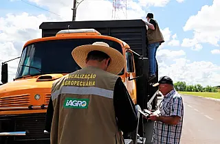 Iagro define normas para controle do Mormo e transporte de equídeos no MS
