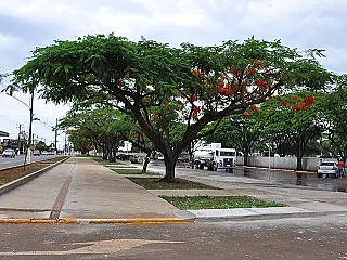 Ambulantes já podem se inscrever para barracas nos cemitérios