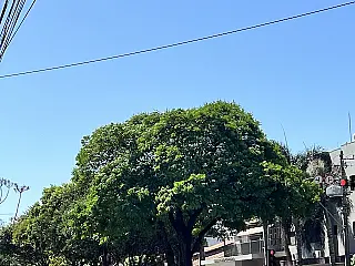 Semana começa com friozinho e possível chuva