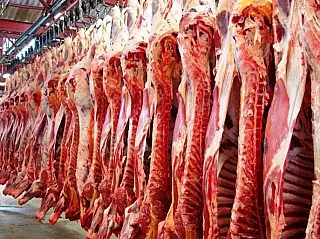 Ampliada capacidade de abates em mil cabeças/dia em Mato Grosso do Sul