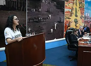 Incentivo à adoção é discutido em sessão da Câmara