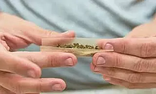 Descriminalização do porte de maconha já está valendo
