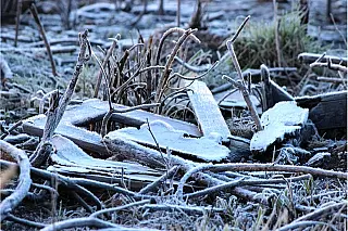 Bom Jardim da Serra em SC registrou temperatura de -4,9º nesta sexta