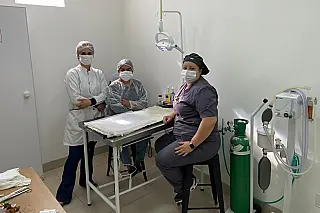 Programa de Castração de Cães e Gatos inicia procedimentos em animais selecionados