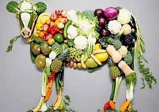Lei quer proibir uso da palavra "carne" em publicidade de produtos veganos