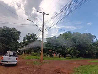Aumento de casos alerta para surto de Chikungunya