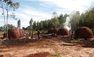 Carvoaria irregular é interditada pela Polícia Militar Ambiental
