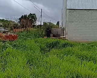 Corpo é encontrado em estado de decomposição