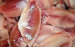 Frigorífico de peixes em Mato Grosso do Sul quer ampliar produção em 80%