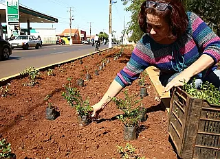 Prefeitura desenvolve ações de paisagismo nos cemitérios