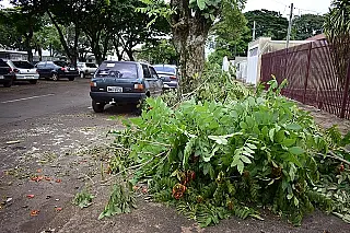 Semsur notifica Energisa sobre galhos de podas que ficam nas calçadas