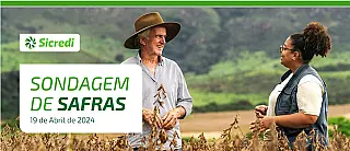 Sicredi lança relatório "Sondagem de Safras" 