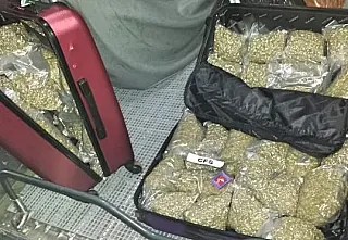 PM apreende quase 20 quilos de super maconha abandonada