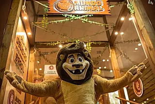 Franquia da rede de lanchonetes Mundo Animal abre loja quinta-feira em Dourados
