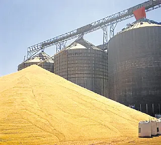 Armazéns públicos de Mato Grosso do Sul serão fiscalizados pela Conab