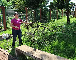 Liandra pede reabertura de bosque