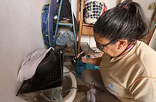 Saúde alerta para avanço da Dengue e Chikungunya