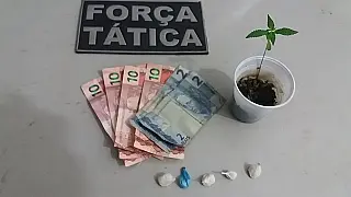 Jovem de 18 anos é preso em Dourados com muda de maconha