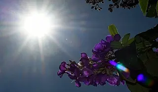Sábado tem previsão de sol e tempo estável retorna a MS após dias chuvosos