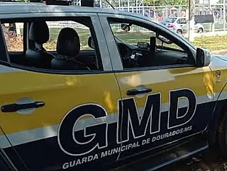 Guarda Municipal impede furto de bens públicos