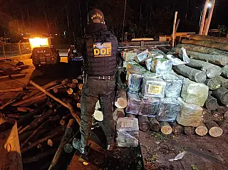 DOF apreende carga milionária de droga em meio carregamento de madeira