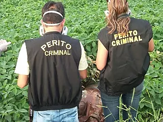 Mortes violentas vitimaram 598 pessoas no Estado ano passado