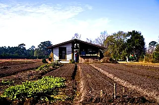 Mapa libera R$ 100 milhões para reforçar o Programa de Seguro Rural