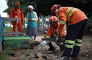 Operação Pantanal 2025 preserva e cuida do bioma